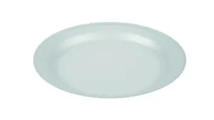9" Polystyrene Foam Plates (TP3)
