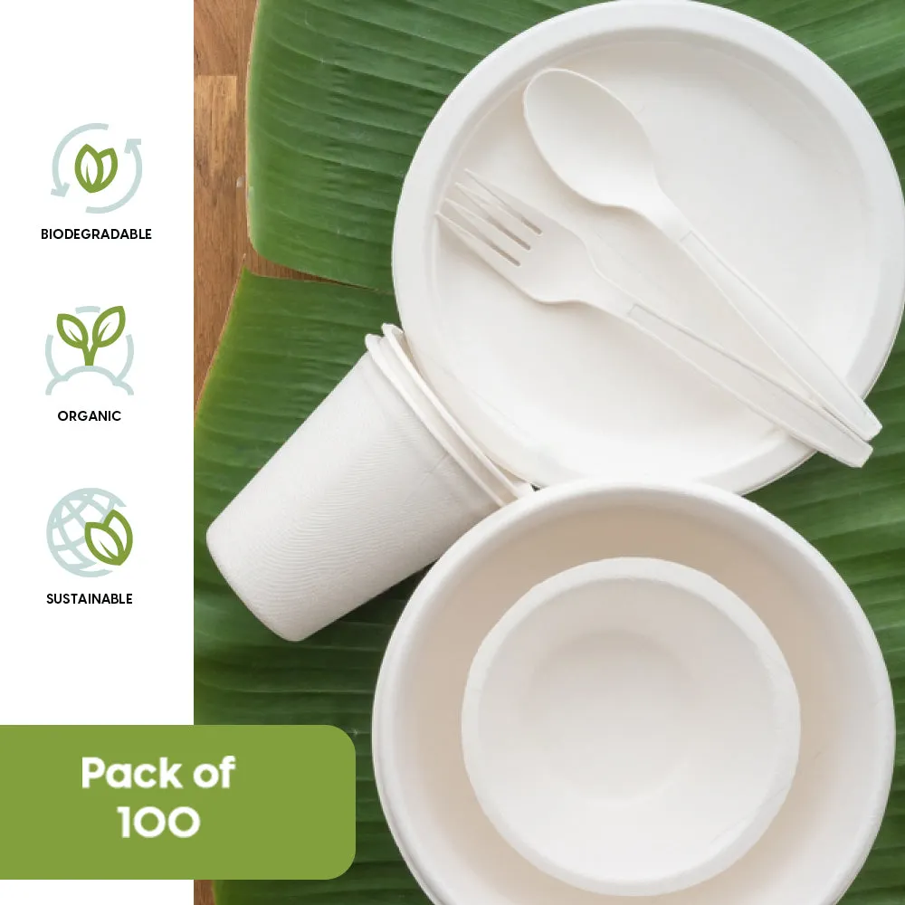 ECOWAY PARTY PACK FOR 100 PERSONS-NATURAL