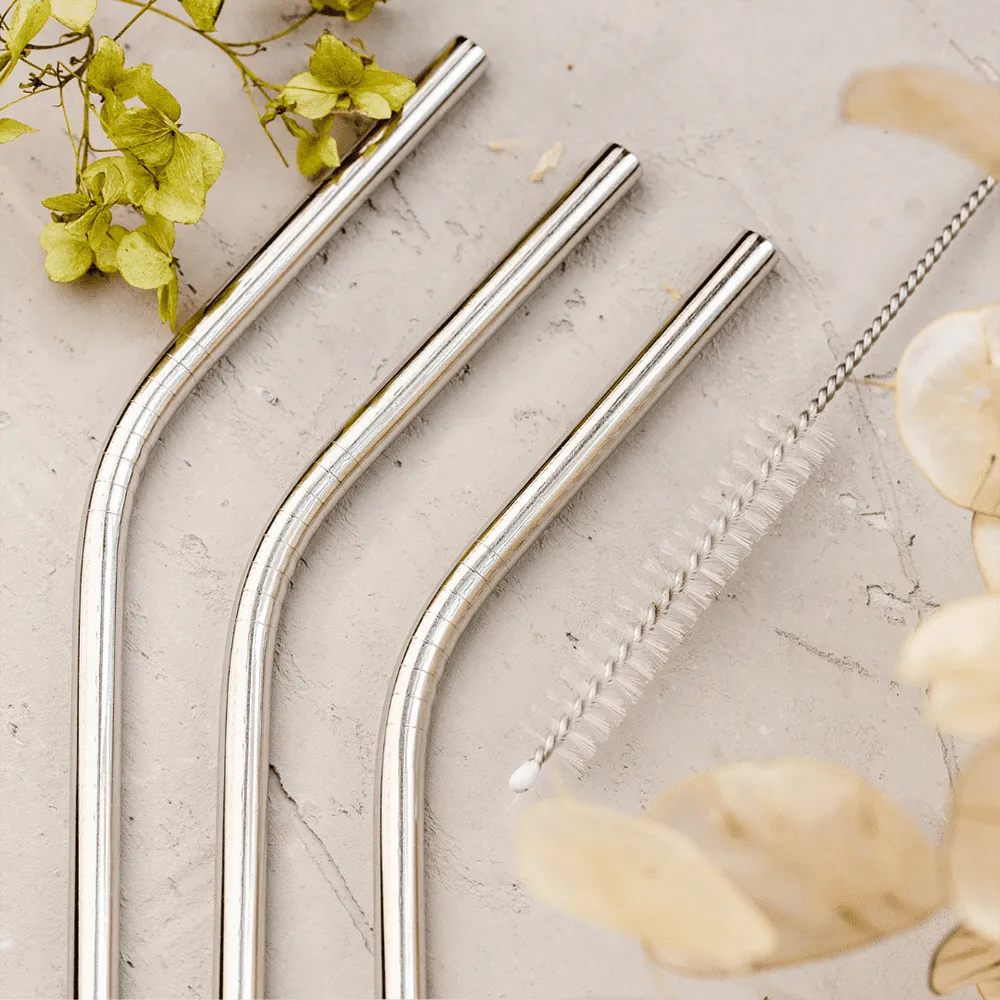 Lemon & Lime  ECO 4PCS STAINLESS STEEL STRAWS BONUS CLEANING BRUSH