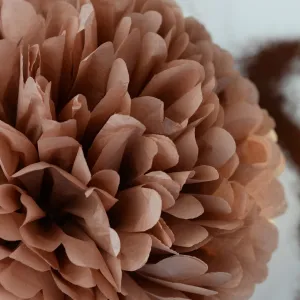 Mocha tissue paper pom pom