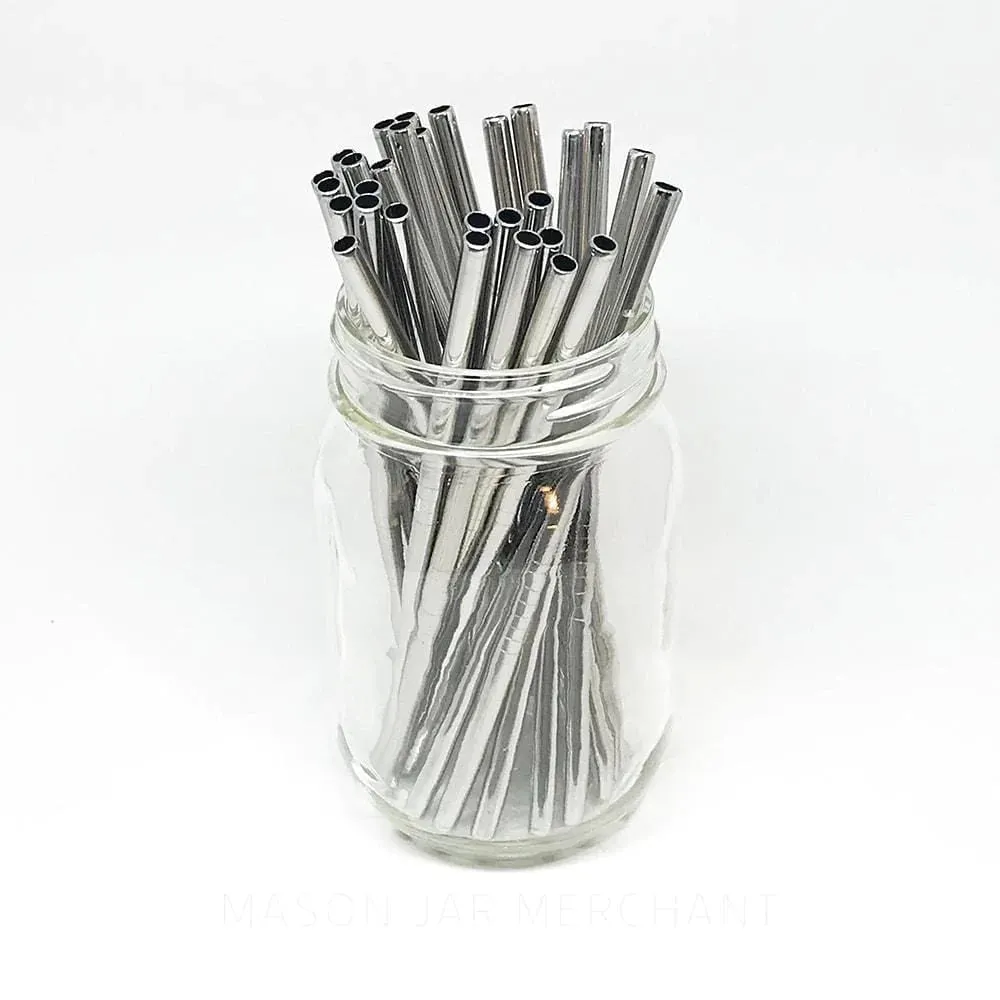 Stainless Steel Straw - Cocktail