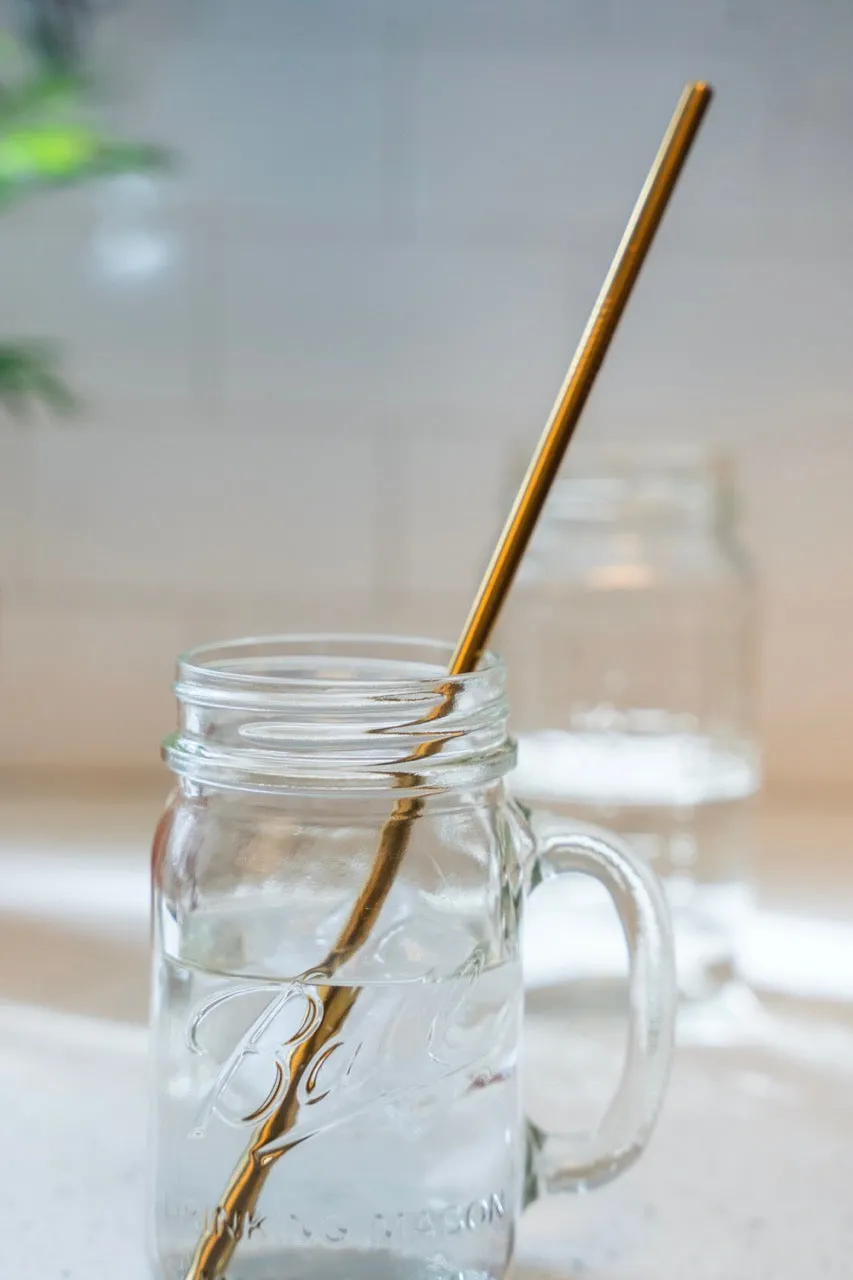 Stainless Steel Straw | Gold