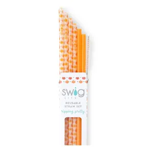 Swig - Reusable Straw Set - Pumpkin