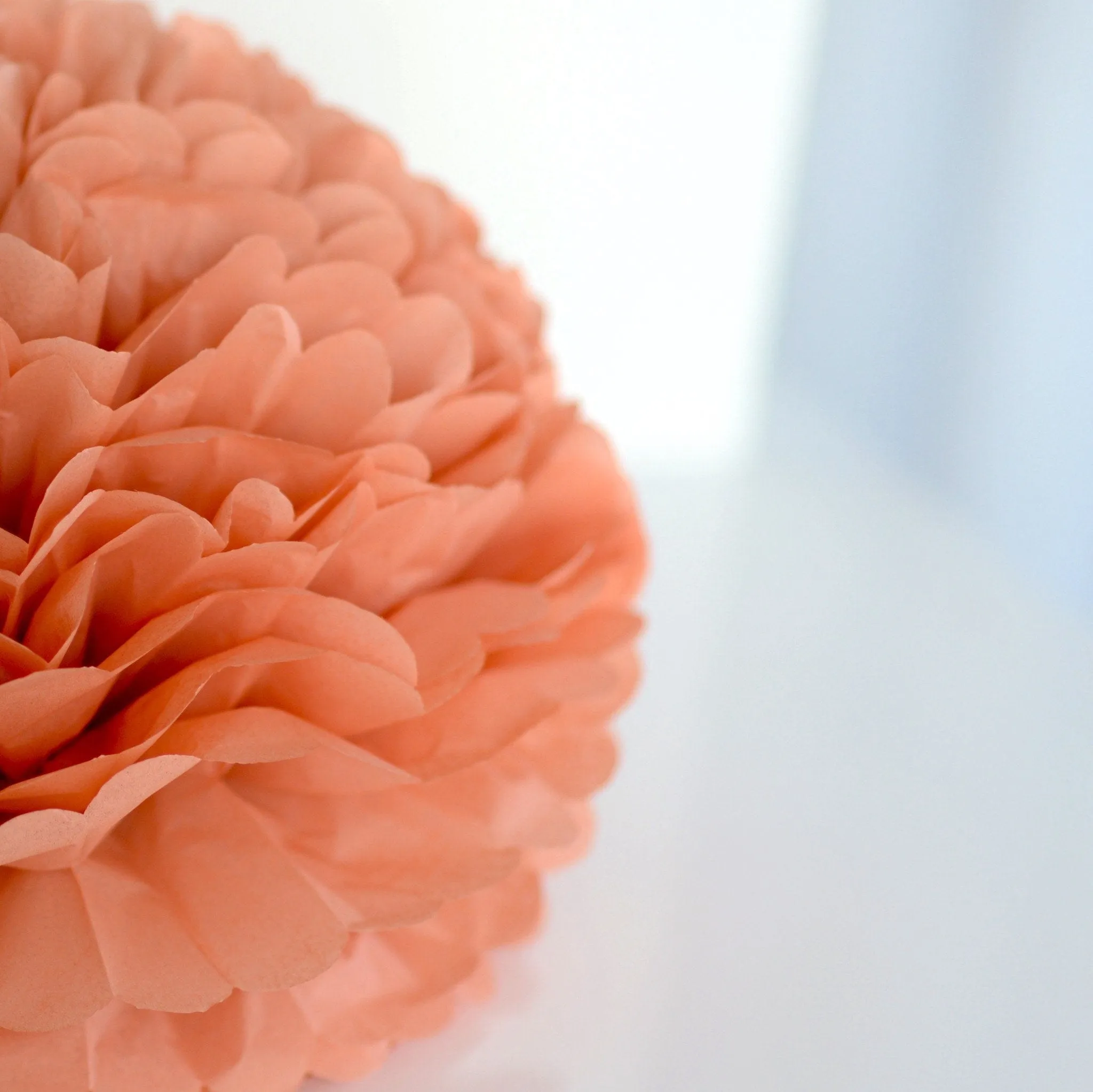 Terracotta tissue paper pom pom
